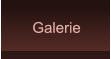 Galerie Galerie