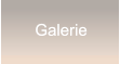 Galerie Galerie